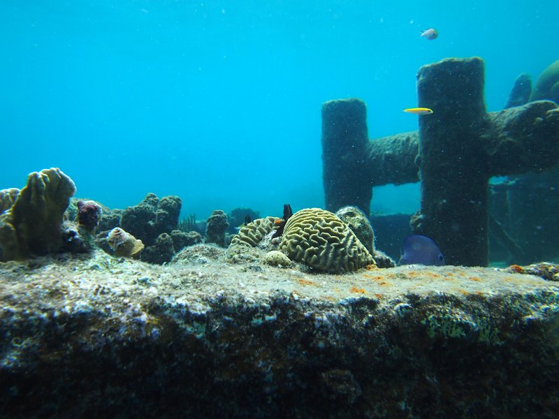 Curacao 04-12 045.JPG